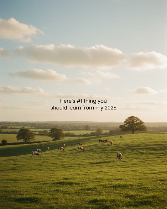 cows on green field on hill
